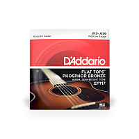 D`ADDARIO EFT17