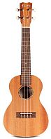 CORDOBA PROTEGE U1 Ukulele