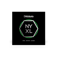 D`ADDARIO NYNW048